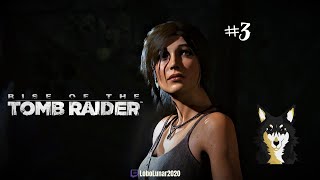 Rise Of The Tomb Raider 3 [upl. by Aenat944]