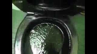 Black Kohler Wellworth Toilet at a Ford Dealership [upl. by Atwahs]