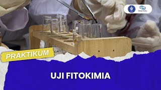 UJI FITOKIMIA MEJA 1 BIOTEK [upl. by Mila]