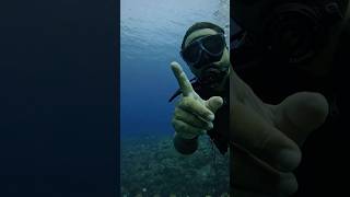 Underwater ruins in Okinawa scubadiving ruins okinawa [upl. by Koziara]