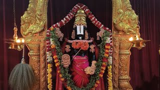 Rajopachara to Raja Govinda Blissful Darshan [upl. by Hcra]