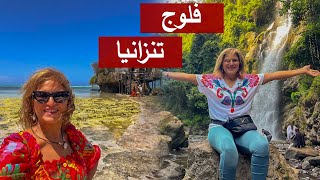 سافروا معايا إلي تنزانيا✈️  Tanzania Vlog شيفسلمىسليمان [upl. by Naeroled794]