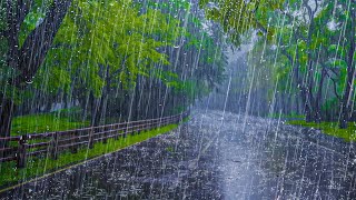 FORTE PLUIE pour Dormir Profondément  Bruit de la Pluie et Orage dans la Forêt Brumeuse la nuit [upl. by Neltiak]