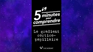 Le gradient corticopapillaire  5 minutes pour comprendre [upl. by Anaiek]