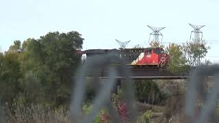 CN freight at Islington amp Steeles [upl. by Yerbua]