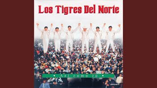 La Vida Es UnaLos Tigres del Norte [upl. by Linzy990]