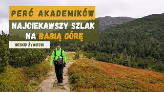 Babia Góra Percią Akademików ⛓  Najciekawszy szlak na Diablaka 😈  ⛰ Korona Gór Polski ⛰ [upl. by Peterus760]