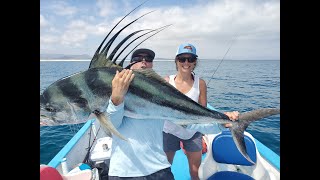 Baja Fly Fishing Action  Gear Dump and Tips for Success on Roosterfish Dorado Jacks [upl. by Nodnarb]