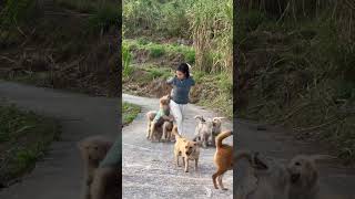 Why is that puppy given such priority 🙄🙄🙄 funny pets animals cute [upl. by Bay714]