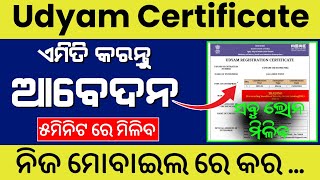 Udyam Registration 2024  Udyam Aadhar Registration  Udyam aadhar registration kaise kare [upl. by Noam]