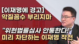 이재명 선거법 꼼수 계속 지적해서 위헌법률심사 청구 가능성의 김을 빼버리자 [upl. by Iramohs]