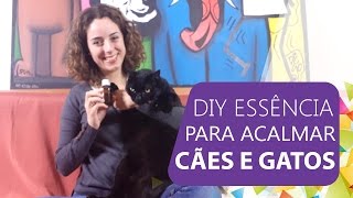 DIY  AROMATERAPIA para PETS [upl. by Aileno]