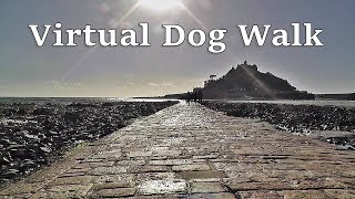 Walk Your Dog TV  Virtual Dog Walk [upl. by Nate]