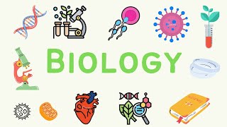 7 A Level Biology  Energy and Respiration Part 1 ⚡ [upl. by Siraval]