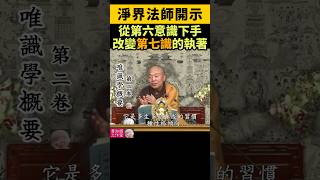 淨界法師：從第六意識下手，改變第七識的執着 [upl. by Vorster]