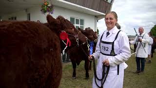 Great Yorkshire Show  14 July 2023 and in lots of clips [upl. by Ransome]