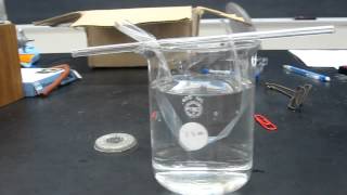 Lab Demo  Dialysis Tubing 001 [upl. by Oitaroh]