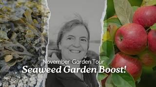 The Power of Seaweed for Your Garden  November Welsh Cottage Garden Tour [upl. by Lalad]