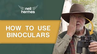 How To Use Binoculars For Bird Watching  A Beginners Guide [upl. by Entruoc]