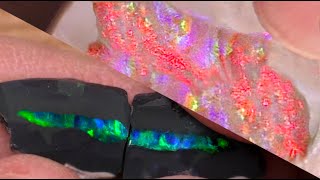 BATTLE Black Opal vs White Opal HeadtoHead [upl. by Ttocs96]