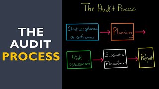 The Audit Process [upl. by Hendon]