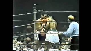 Wilfred Benitez vs Vernon Lewis 2 of 3 [upl. by Arrat]