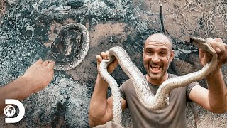 Come una boa Constrictor para no desfallecer  Ed Stafford al Extremo  Discovery Latinoamérica [upl. by Dunston744]