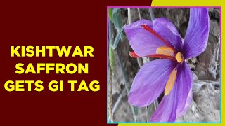 Kishtwar Saffron gets GI Tag [upl. by Magnien278]