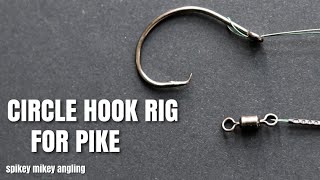 Circle Hook Rig for Pike [upl. by Nosauq]