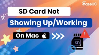 SD Card Not Showing UpWorkingRecognized Mac 2024 [upl. by Denis]