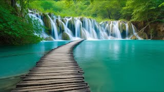 Beautiful Relaxing Music Stress Relief and Heart Health with Water Sounds and Relaxing Music [upl. by Mcgean]