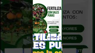 CONTROL DE FUSARIUM O SECADERA EN 30 DÍAS [upl. by Sparks]