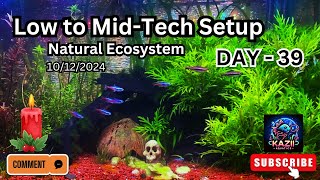 Natural Ecosystem Day 39 LowMid Tech Setup 10122024 [upl. by Crutcher]