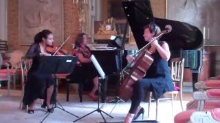 SALONMUZIEK Marche militaire van F Schubert voor piano trio Kaffeehaus muziek [upl. by Ginder]