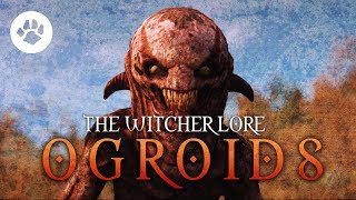 What are Ogroids The Witcher 3 Lore  Ogroids [upl. by Lyrpa]