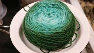 Bonus Yarn Cake Dyeing in Leftover Dye [upl. by Nimref]