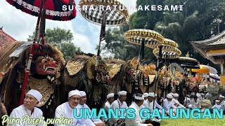 UMANIS GALUNGAN PURA PUSEH LAN BALEAGUNG BR PUAKAN TARO DI PENUHI PULUHAN TAPAKAN IDA BATARA [upl. by Soloma]