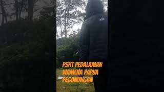 PSHT cabang Jayawijaya Papua pegunungan [upl. by Hael]