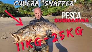 ðŸ”±PESCASUB  SPEARFISHINGðŸ”± Cubera  Snapper 11KG  25KG  BY Paulo Karate [upl. by Kan]