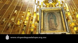 Peregrinación de la Diócesis de Aguascalientes 20 de noviembre de 2016 [upl. by Aderb]