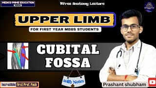 Cubital Fossa  Boundaries amp Content of cubital fossa  Anatomy of cubital Fossa mbbs [upl. by Templer]