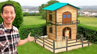 I build beautiful maison for my dog  Dog house project [upl. by Rothmuller706]