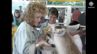 Les 150 ans de l’Exposition agricole de SaintHyacinthe en 1987 [upl. by Colb]