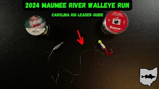 Maumee River Walleye Run 2024  Carolina Rig Leader Guide [upl. by Tnomyar530]