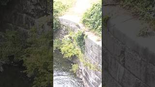 Old Bridge below Wachussett Dam [upl. by Theobald403]