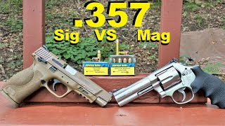 357 Magnum VS 357 Sig  Which is Better Buffalo Bore  Barnes [upl. by Mayyahk]