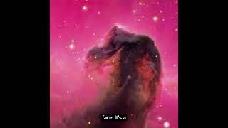 5 Facts about the Horse Head nebula [upl. by Ahsekahs608]