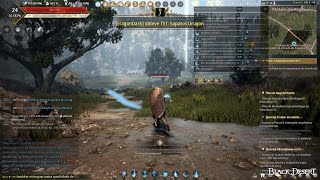 Nova  Classe de escudo sem escudo Apredendo Black Desert [upl. by Cusick]