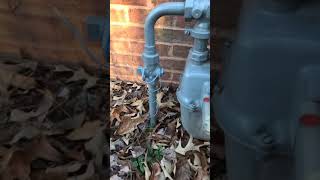 Gas meter hissing on cold morning [upl. by Haraj78]