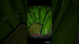 Minecraft expectation vs reality minecraft [upl. by Minnnie]